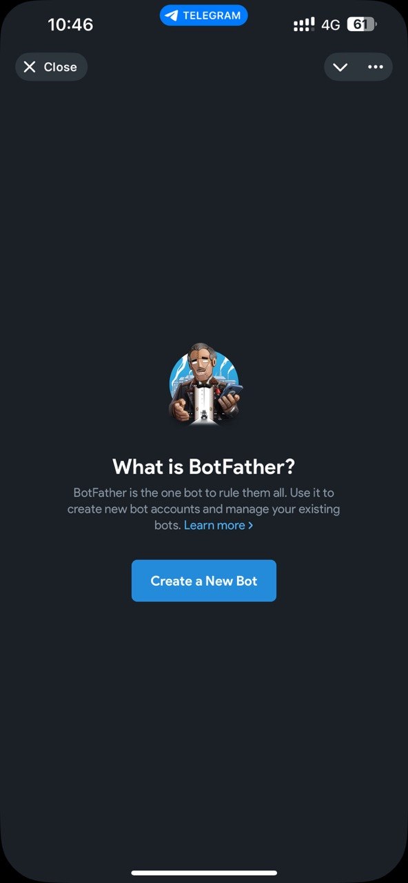 Choose a display name for the bot