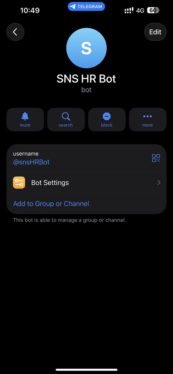 Bot connected and replying in Telegram